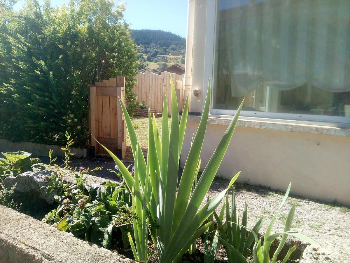 Cheminée à l'âtre, terrasse et Vue sur la montagne Gérardmer Exterior foto
